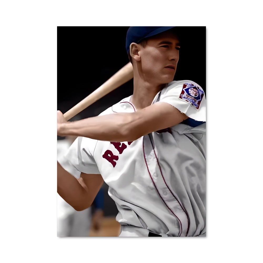 Poster Ted williams – affiche Baseball